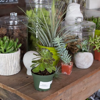 Digs - Home Decor Near Me - Portland, Oregon