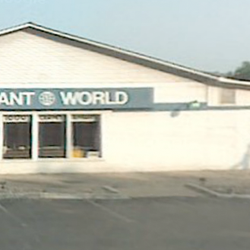 Remnant World
