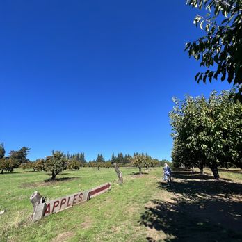 Sherwood Orchards - an apple orchard with a sign in the foreground - Do-It-Yourself Food Near Me - Sherwood, Oregon Sherwood Orchards - an apple orchard with a sign in the foreground - Do-It-Yourself Food Near Me - Sherwood, Oregon