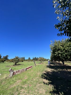 Sherwood Orchards by null