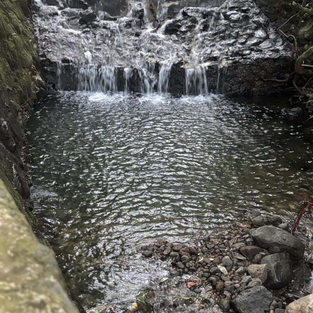 Lulumahu Falls - Hiking Near Me - Honolulu, Hawaii Lulumahu Falls - Hiking Near Me - Honolulu, Hawaii