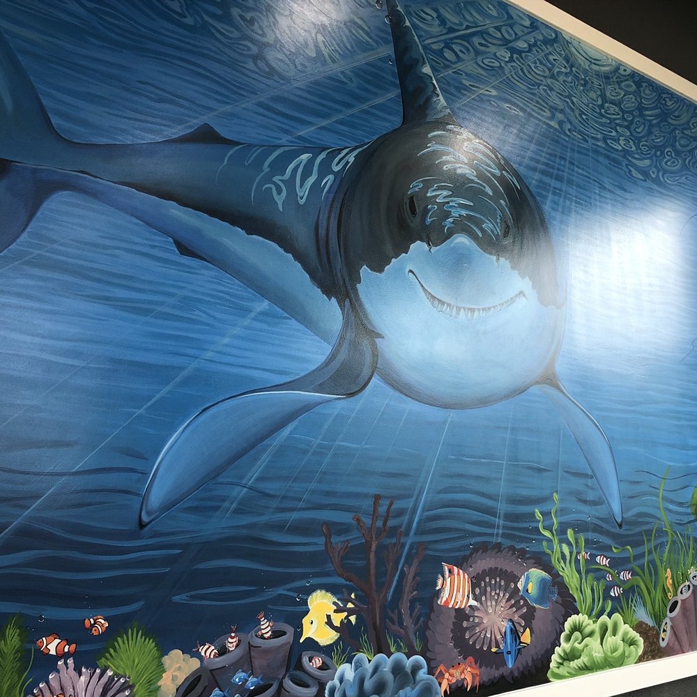 Sharks Burger - a mural of a great white shark - Burgers Near Me - Leander, Texas Sharks Burger - a mural of a great white shark - Burgers Near Me - Leander, Texas