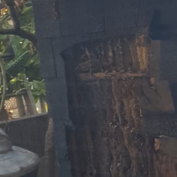 Bee Busters - Honeycomb - Pest Control Near Me - Laguna Hills, California