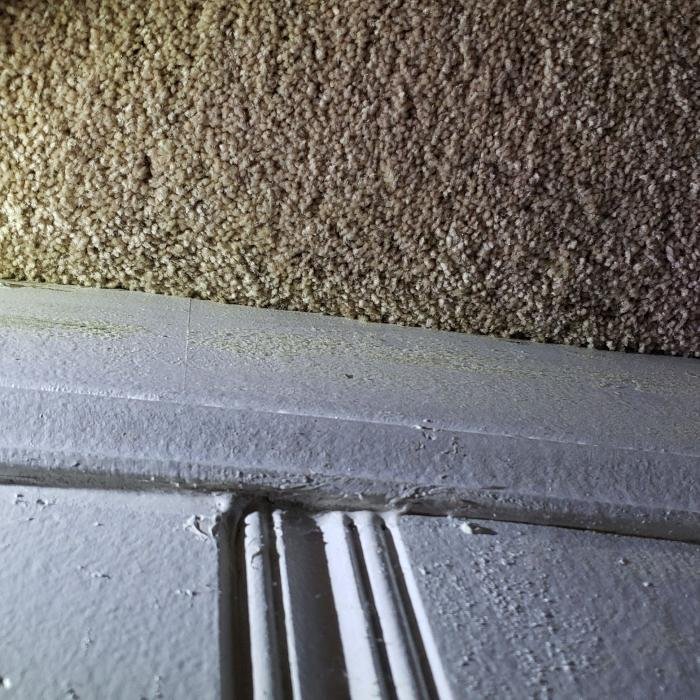 Buckeye Advanced Remediation - mold inspector in Bedford Heights, OH