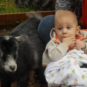 Fairbank Animal Farm - Very cooperative goats for photos :) - Farmers Market Near Me - Edmonds, Washington