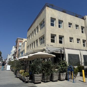Fig Tree - outside - Cafes Near Me - Los Angeles, California Fig Tree - outside - Cafes Near Me - Los Angeles, California