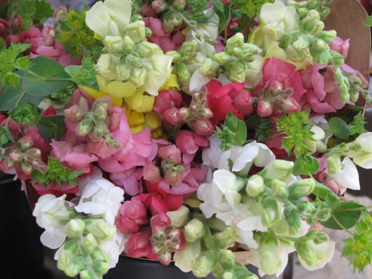 Down to Earth Chelsea Farmers Market by null