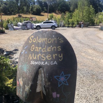 Solomon's Gardens Nursery & Landscaping - a mailbox - Landscaping Near Me - Sonora, California Solomon's Gardens Nursery & Landscaping - a mailbox - Landscaping Near Me - Sonora, California