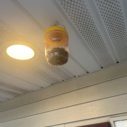 The Stand - Bee holder