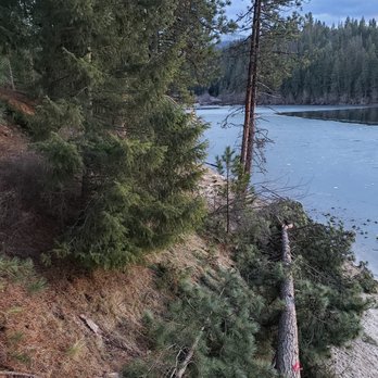 Cda Tree and Utility - Tree Services Near Me - Coeur d Alene, Idaho Cda Tree and Utility - Tree Services Near Me - Coeur d Alene, Idaho