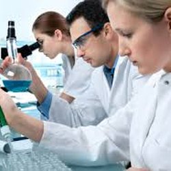 Home Dna Test Site - Our professional DNA analysts