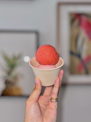 Garden Creamery by null