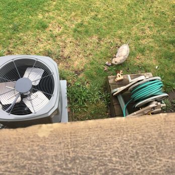Windy City Wildlife - Pest Control Near Me - West Chicago, Illinois Windy City Wildlife - Pest Control Near Me - West Chicago, Illinois