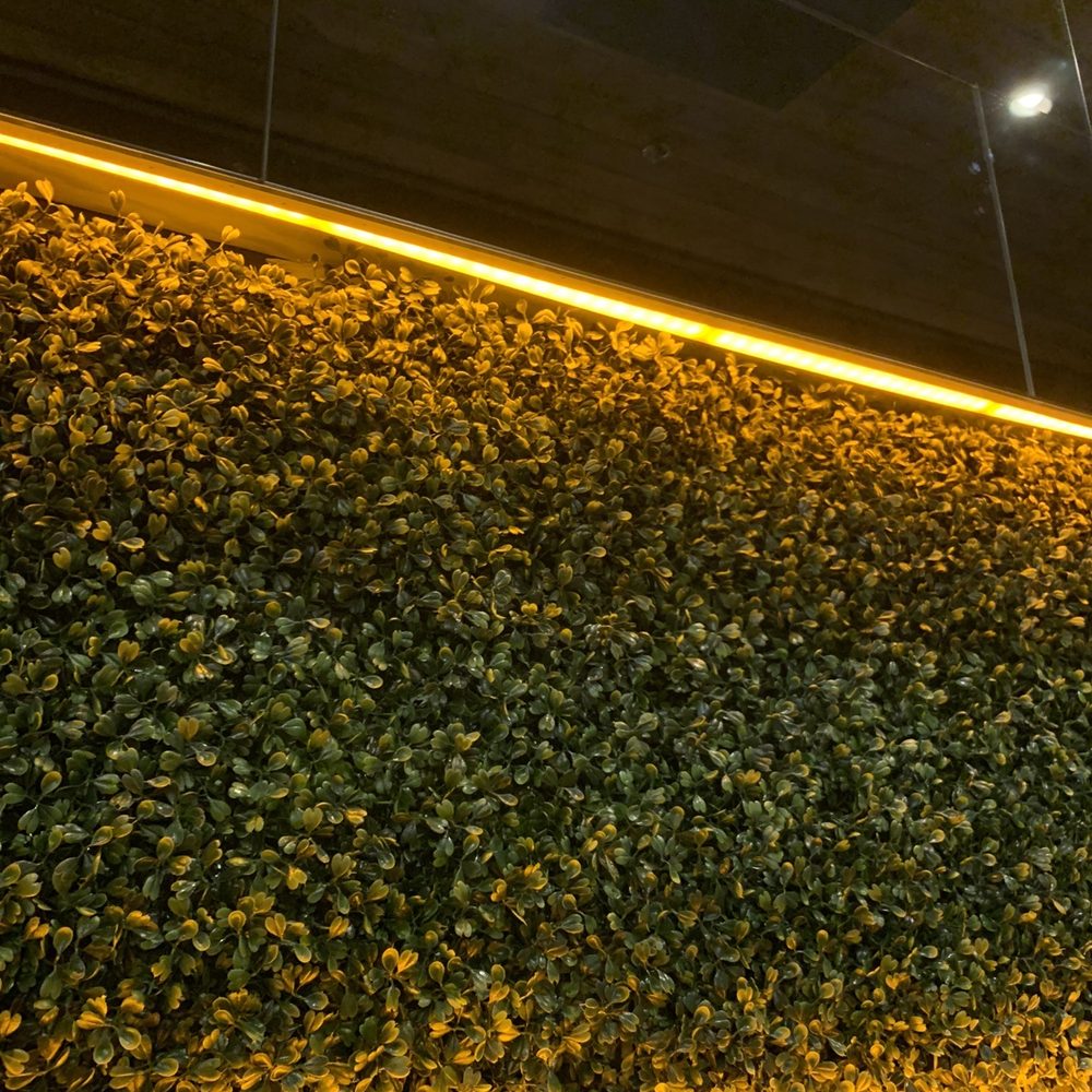 JINYA Ramen Bar - Omaha - Cool wall! - Ramen Near Me - Omaha, Nebraska JINYA Ramen Bar - Omaha - Cool wall! - Ramen Near Me - Omaha, Nebraska