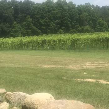 Flying Otter Vineyard & Winery - Music Venues Near Me - Adrian, Michigan