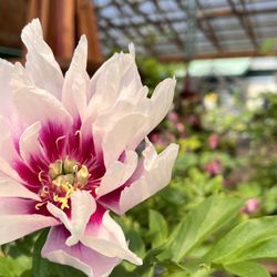 Bark & Garden Center - So inspiring