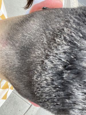 Valentino and Jet Hair Salon by null