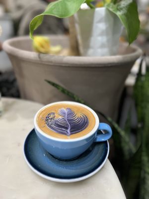 Remi Flower & Coffee by null