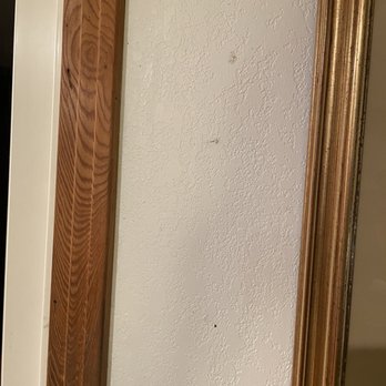 Sun Realty - Dead bugs on wall throughout house - Vacation Rental Agents Near Me - Kitty Hawk, North Carolina Sun Realty - Dead bugs on wall throughout house - Vacation Rental Agents Near Me - Kitty Hawk, North Carolina