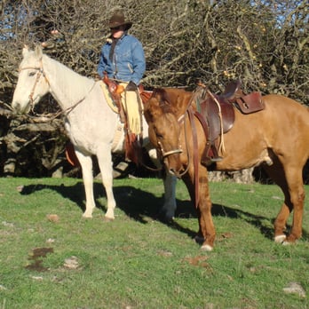 Arriba Vista Ranch - Horse Boarding Near Me - Sunol, California