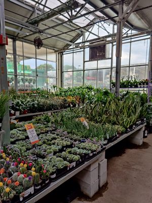 The Home Depot by null