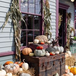 Apotheca Flowers & Tea Chest - Apotheca exterior in the fall