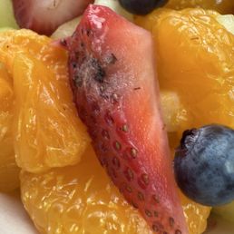 Moldy Fruit Cup/ strawberry. Moldy Fruit Cup/ strawberry.