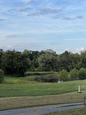 Slater Run Vineyards by null
