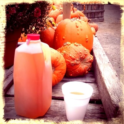 Hanson's Farm by null