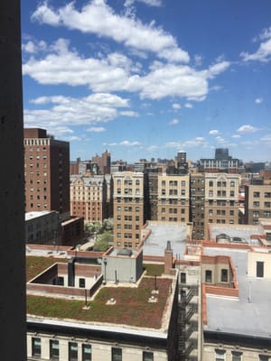 School of International and Public Affairs by null