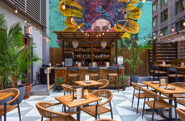 Vida Verde - Tequila Bar by null