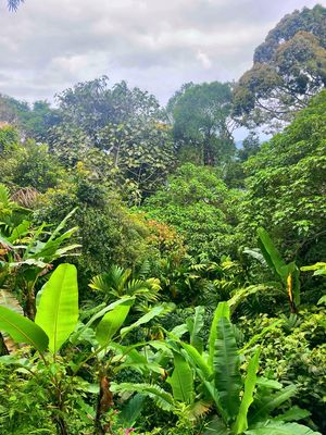 The Habitat Penang Hill by null