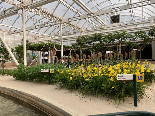 Living with the Land by null