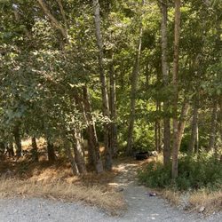 Applewhite Picnic Area