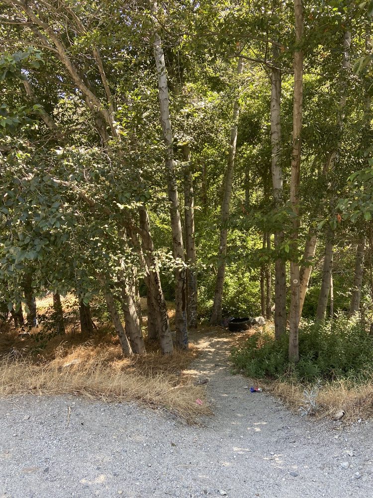 APPLEWHITE PICNIC AREA Updated September 2024 22 Photos 14126