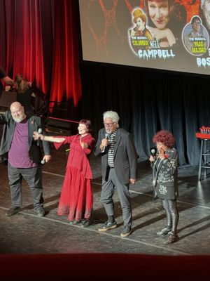 The Town Hall by null