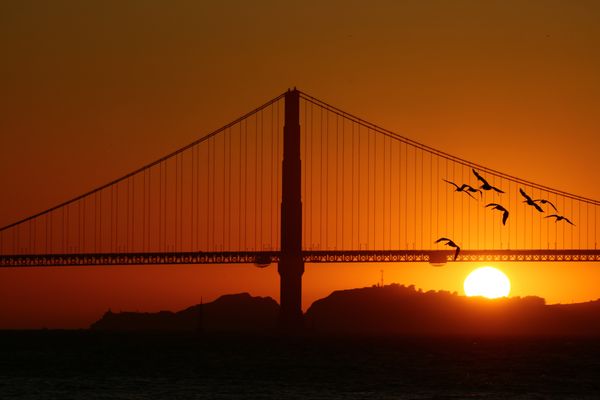 Crissy Field by null
