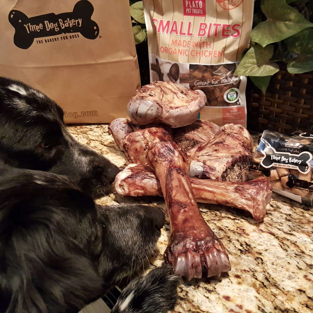 Three Dog Bakery - Peter Pan and Nana Darling with their fresh new treats! - Pet Stores Near Me - Fort Worth, Texas