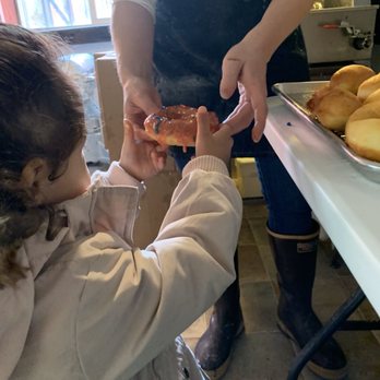 Jellyfish Donuts - Donuts Near Me - Ketchikan, Alaska Jellyfish Donuts - Donuts Near Me - Ketchikan, Alaska