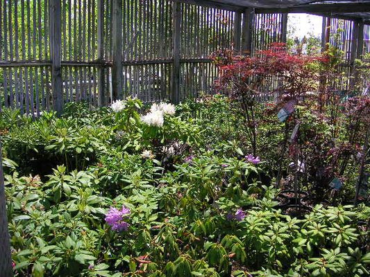 Plantscapes of Oregon by null