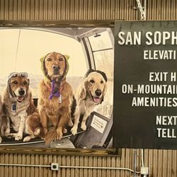 Telluride Mountain Village Gondola - August 9, 2026 - San Sophia station. Exit for mountain recreation or ride on to Telluride.