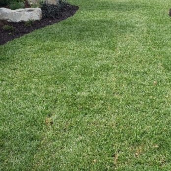 Carlos Lawn Care - a lawn in a residential area - Lawn Services Near Me Carlos Lawn Care - a lawn in a residential area - Lawn Services Near Me