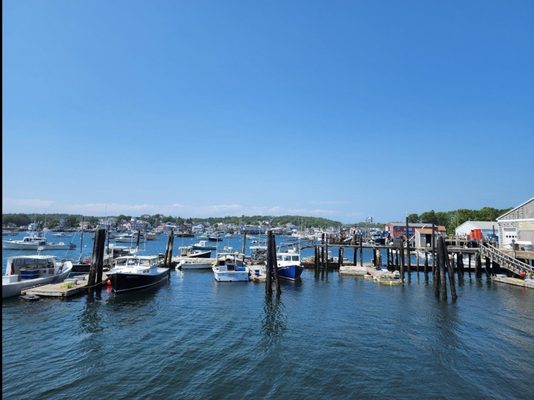Boothbay Lobster Wharf by null
