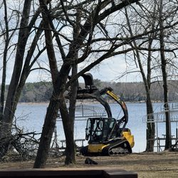 Fallen Tree Service - Joe preparing to take down the tree