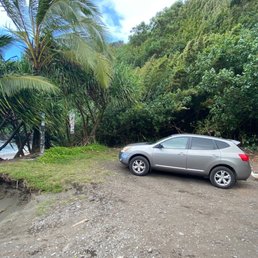'Ro-gu' chillin somewhere along the Road to Hana 'Ro-gu' chillin somewhere along the Road to Hana