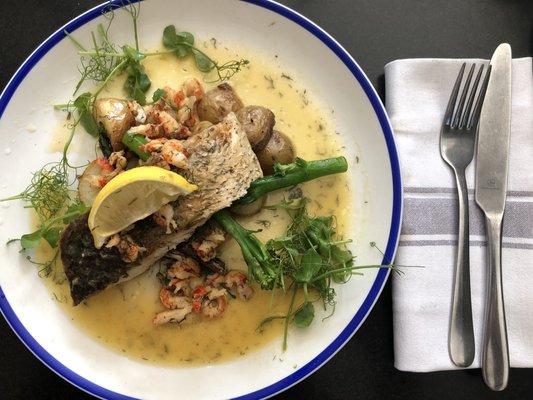 The Tommyfield by null