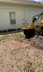Central Florida Stump Grinding - tree service in Oakland, FL