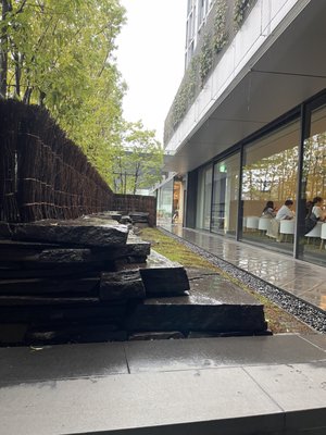 Sahsya Kanetanaka by null