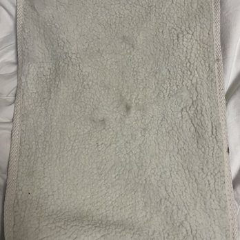Kittington’s Mobile Cat Grooming - The lining of my cat's carrier - Pet Groomers Near Me Kittington’s Mobile Cat Grooming - The lining of my cat's carrier - Pet Groomers Near Me