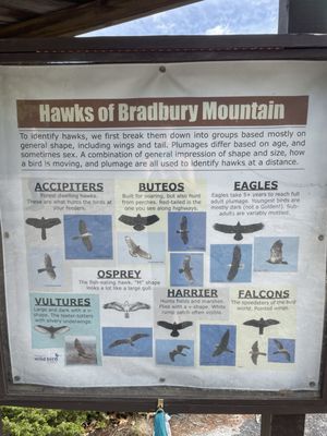 Bradbury Mountain State Park by null